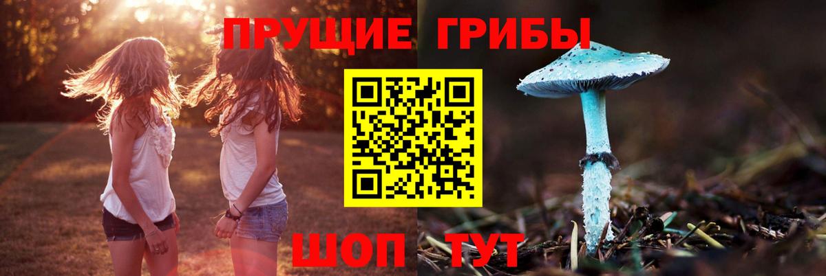 Ноябрьск  Псилоцибиновые грибы прущие грибы  Вход с VPN  Галлюциногенные грибы мухоморы 